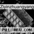 Ziyinzhuangyang 34